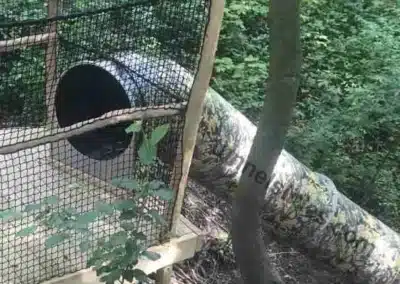 Maskierte Tunnelrutsche im Wald.